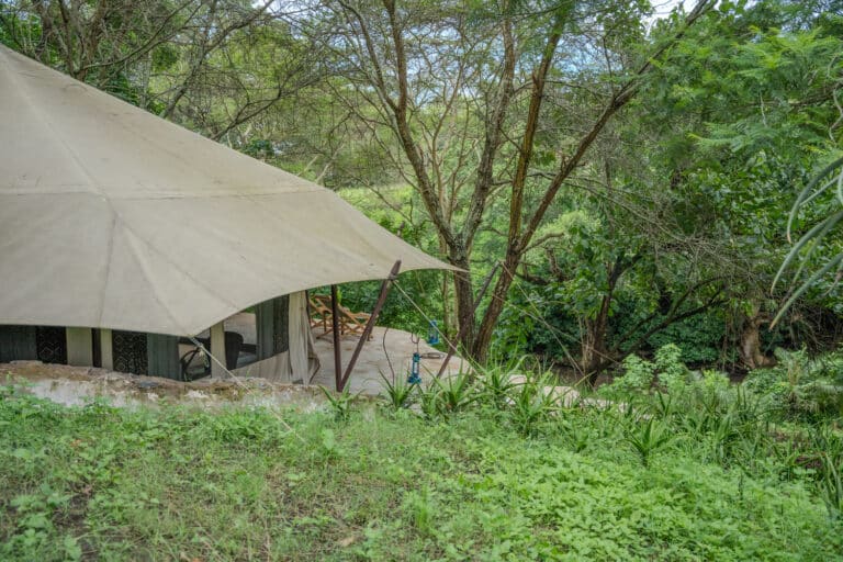 Dolly Farm & River Camp
