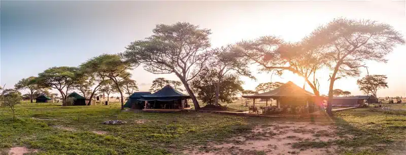 Honeyguide Tarangire Camp