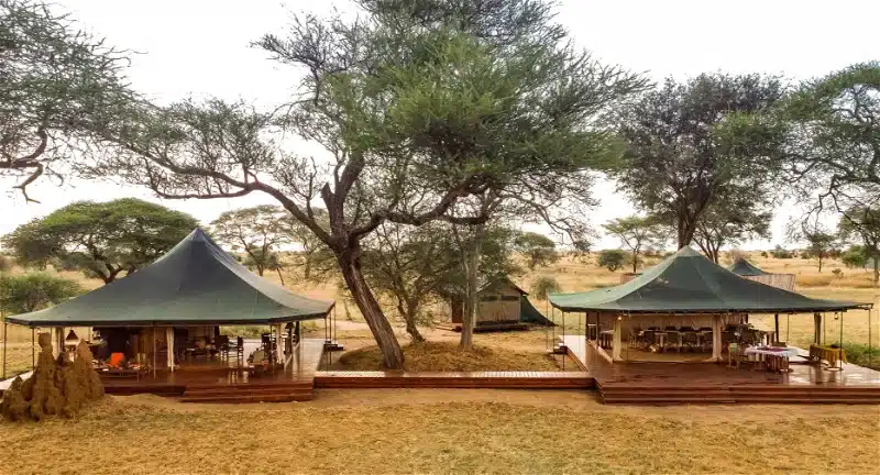 Honeyguide Tarangire Camp