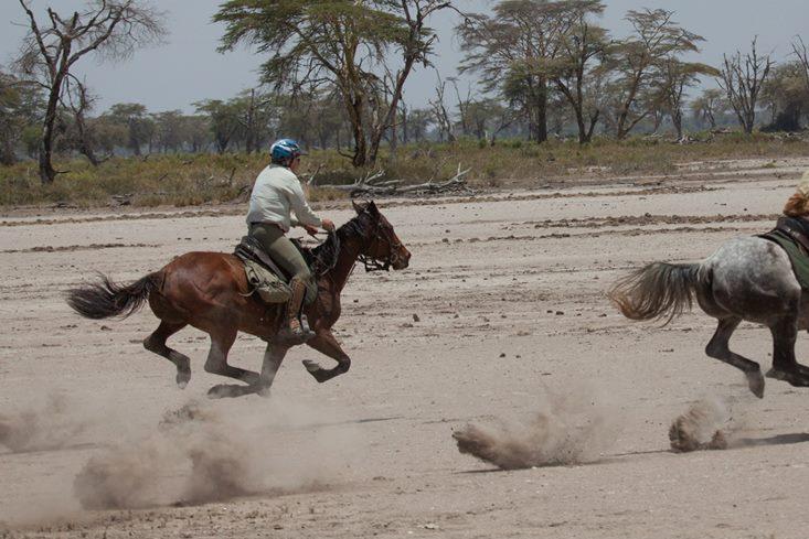 Horse Riding (1)