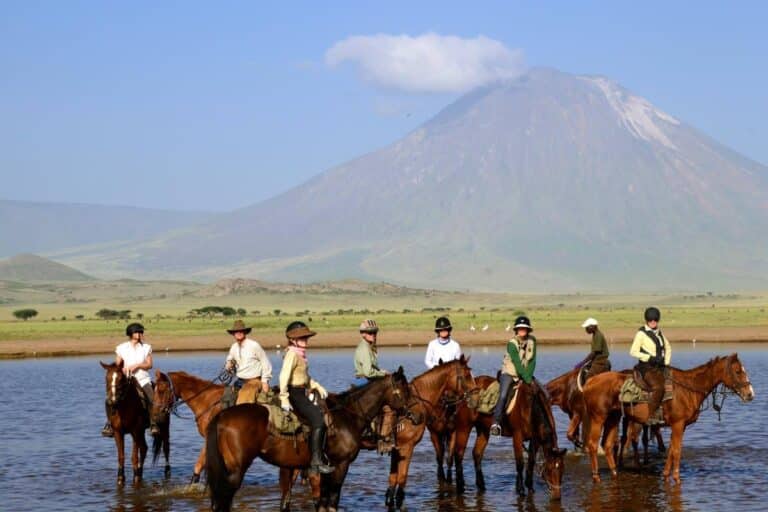 Horse Riding