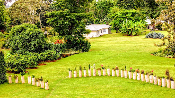 Kilimanjaro Coffee Lodge