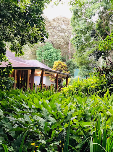 Lake Duluti Lodge Tanzania