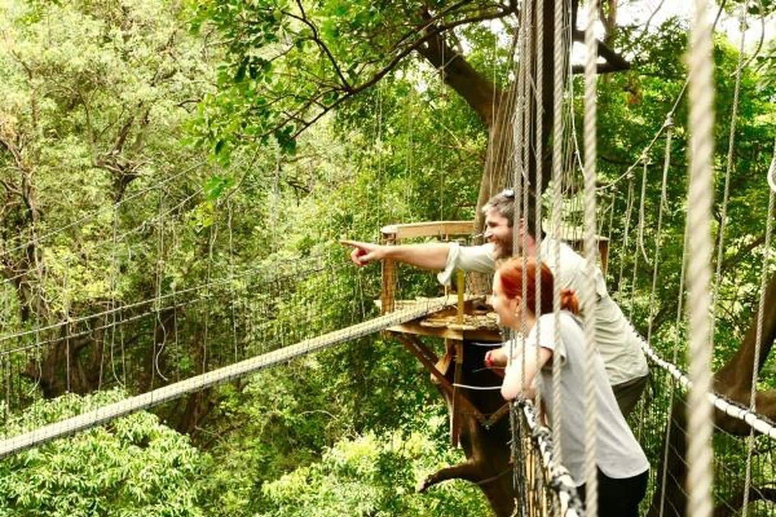 Lake Manyara Treetop Walkway