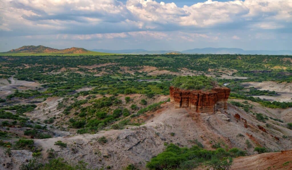 The Secrets of Olduvai Gorge