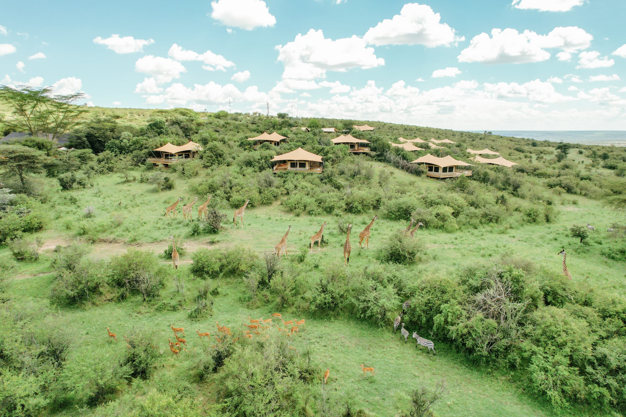 Serengeti Bushtops Camp