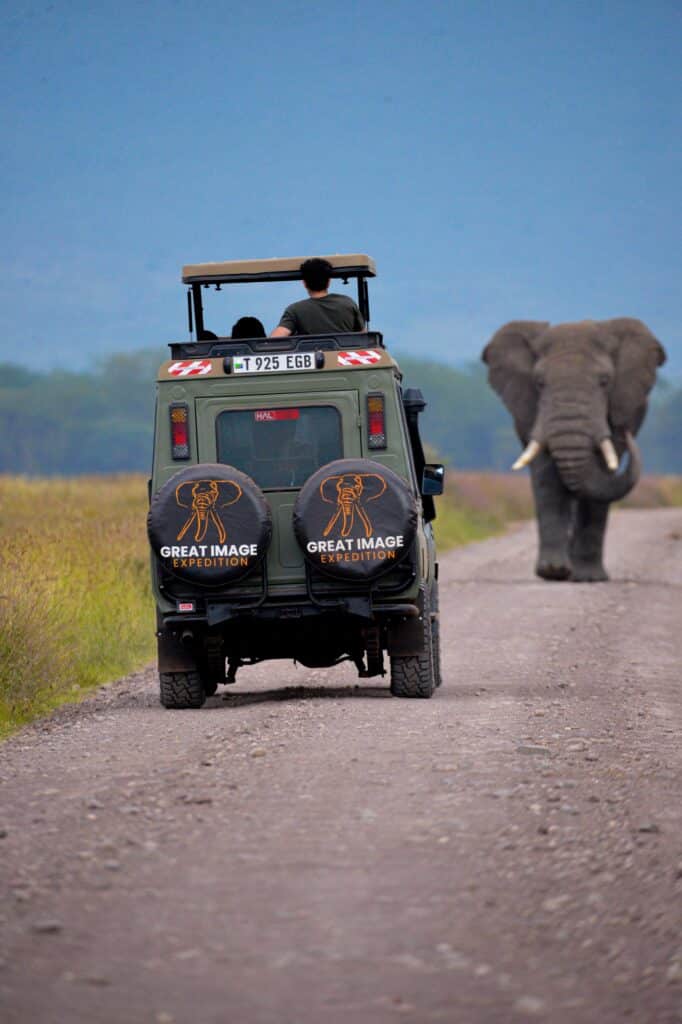 Tanzania Safari