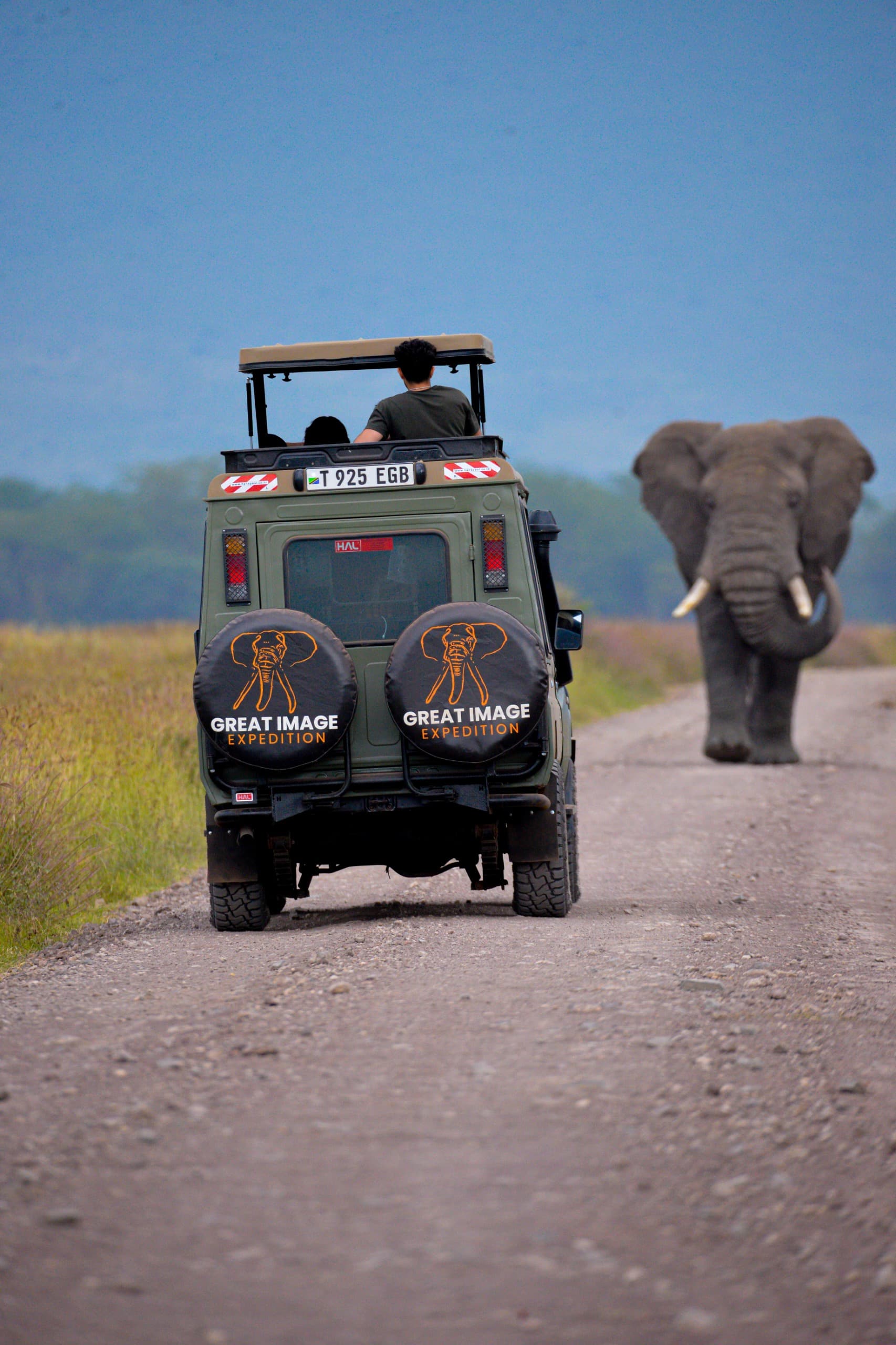 Tanzania Safari