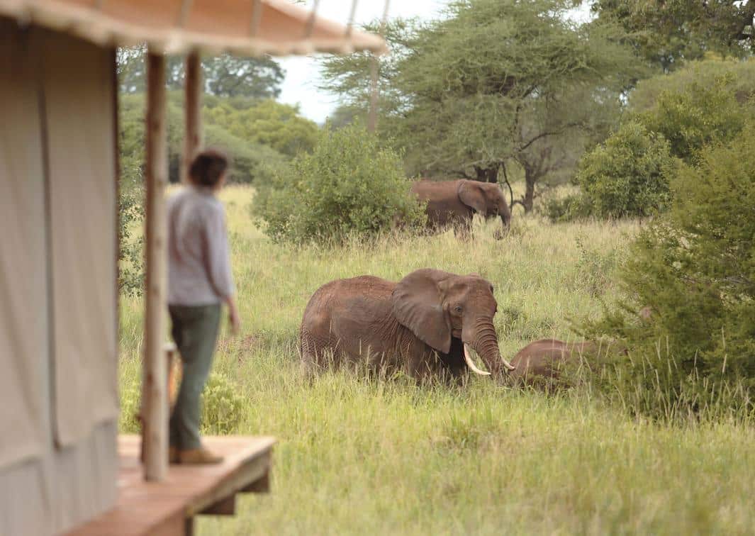 Tarangire Ndovu Tented Lodge