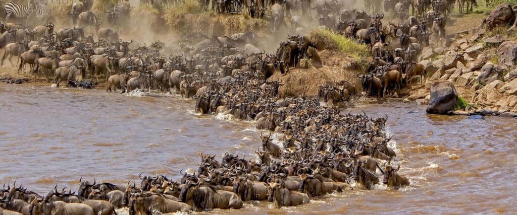 7 Days Serengeti Migration Tour