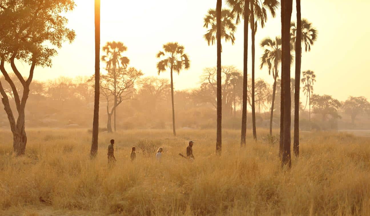 Ikuka Safari Camp