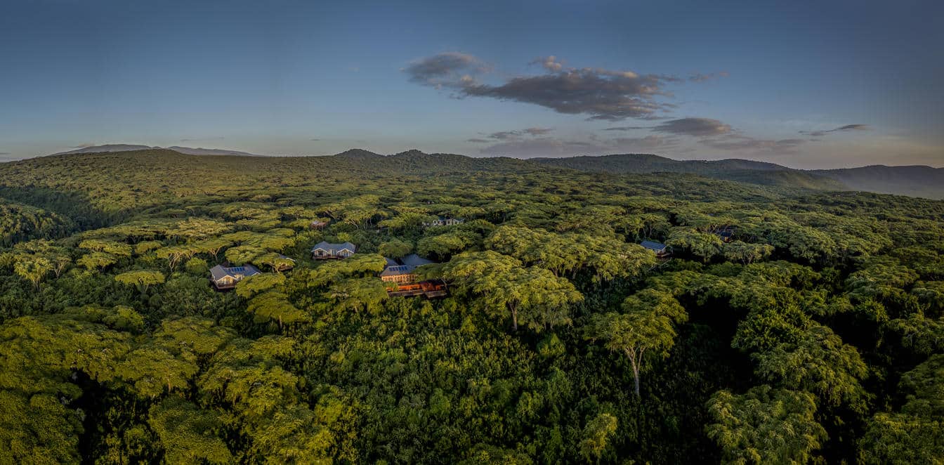 Ngorongoro Lion's Paw Camp