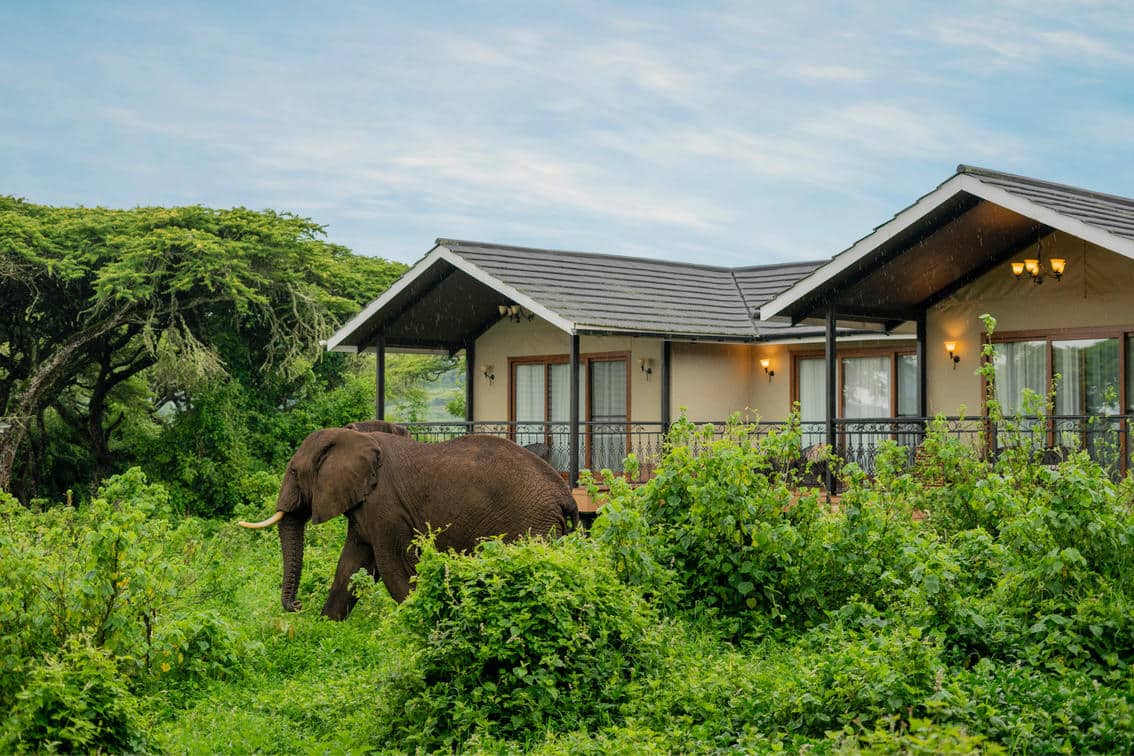 Ngorongoro Lion's Paw Camp