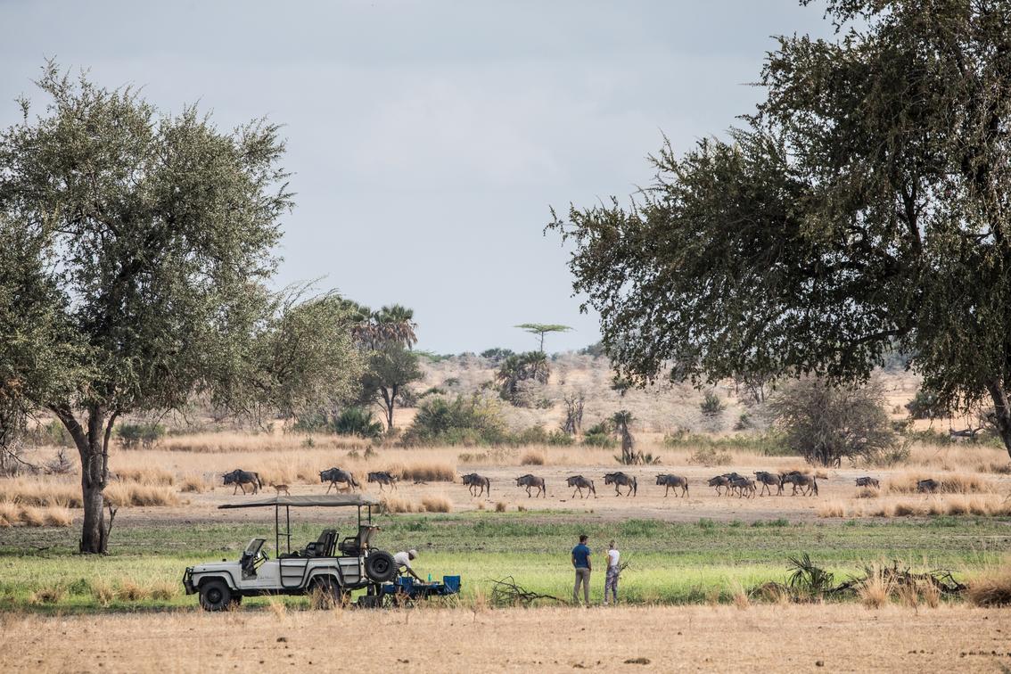 Sand Rivers Selous