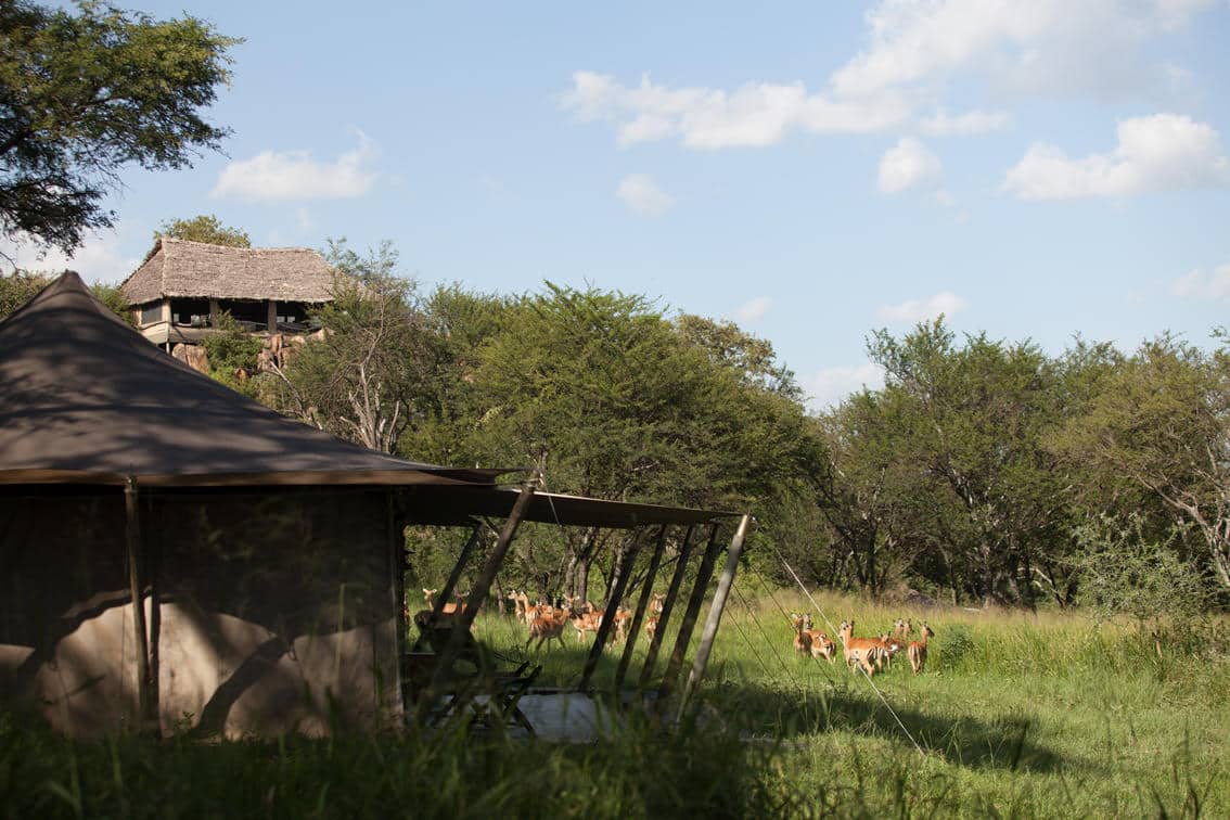 Serengeti Pioneer Camp