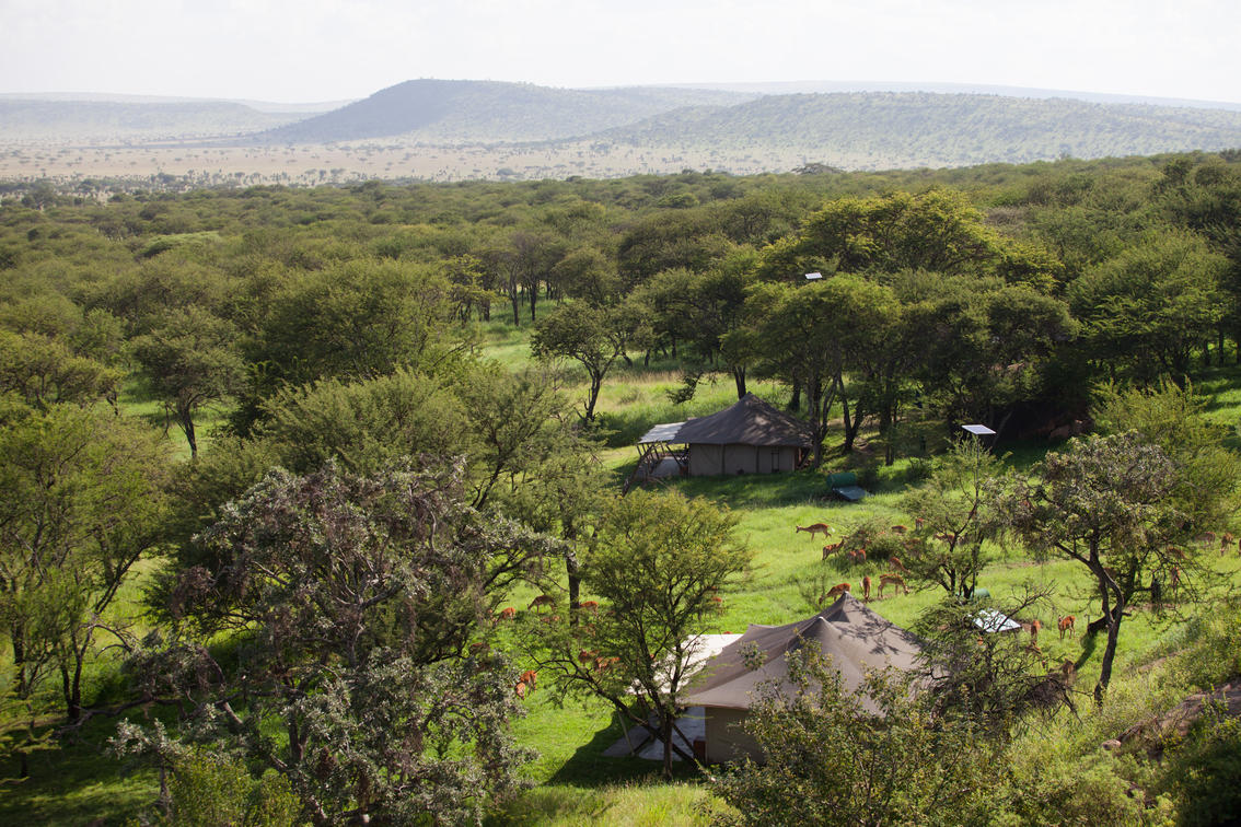 Serengeti Pioneer Camp