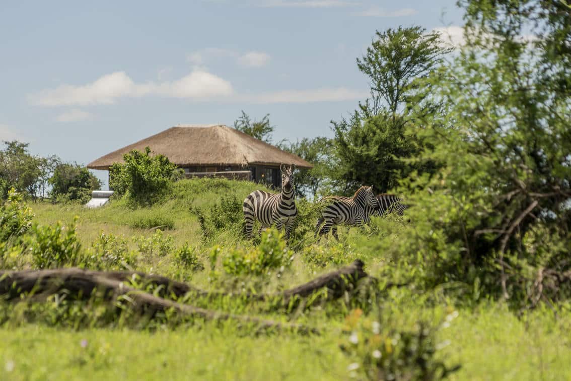 Serengeti River Camp