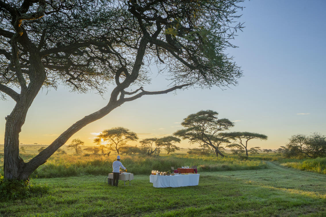 Serengeti Sametu Camp