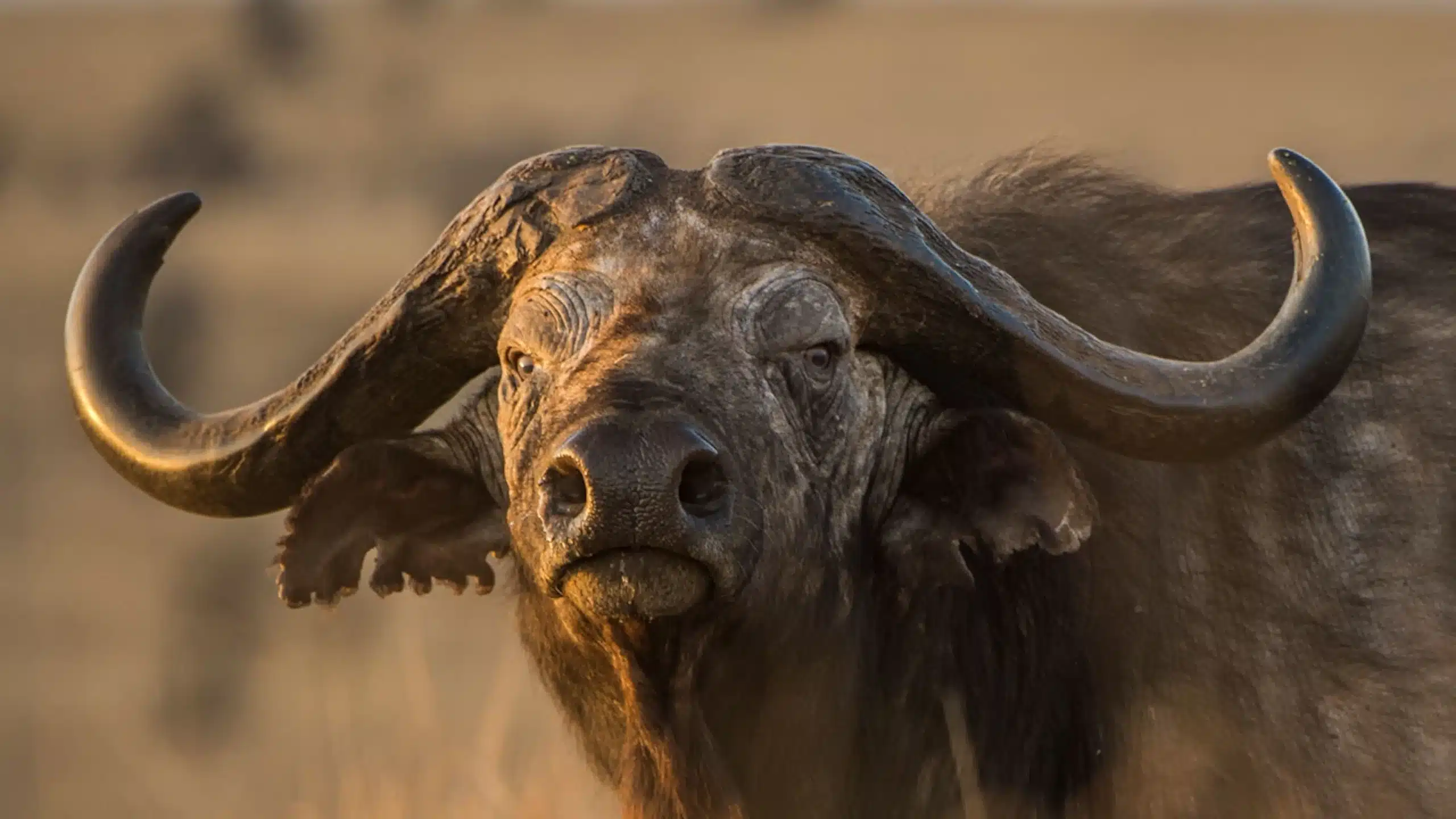 Tarangire National Park