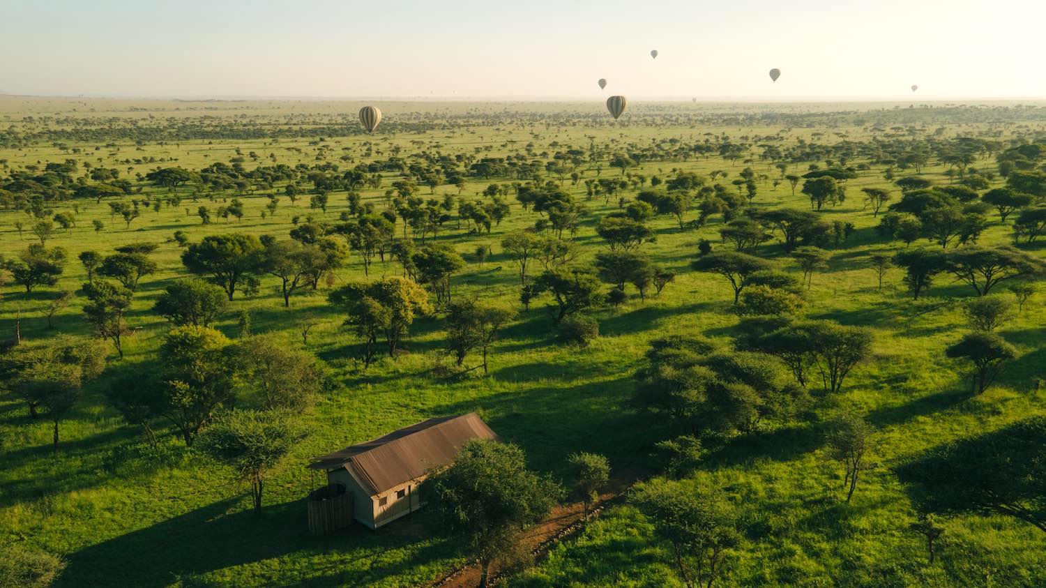 Awali Serengeti Camp 1