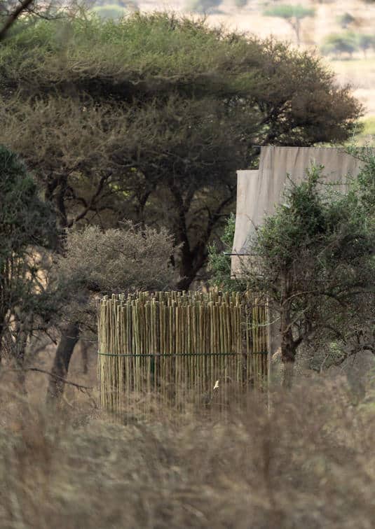 Awali Serengeti Camp