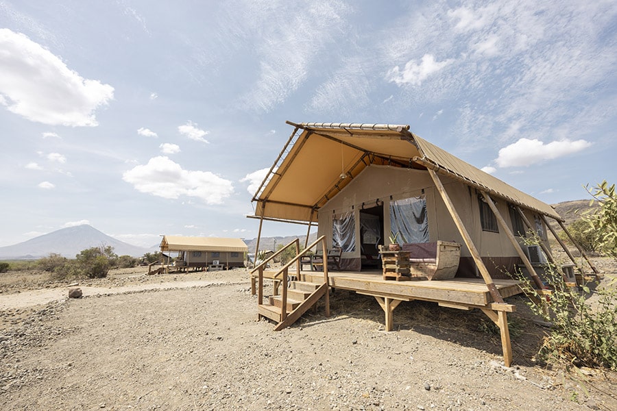 Africa Safari Lake Natron