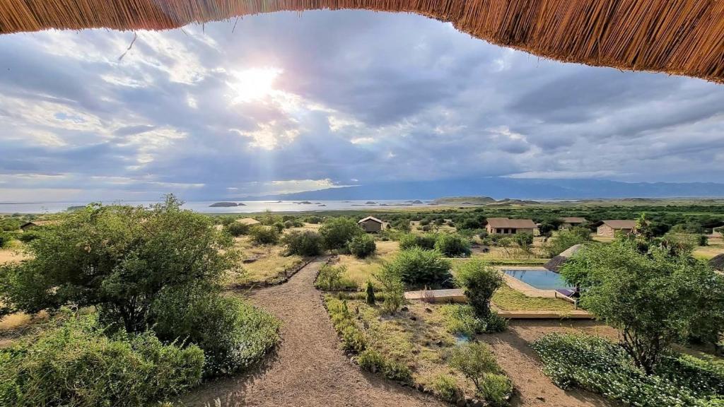 Africa Safari Lake Natron