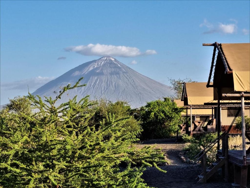 Africa Safari Lake Natron