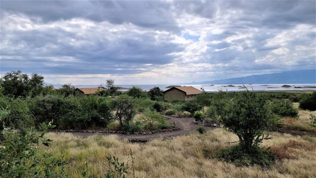 Africa Safari Lake Natron