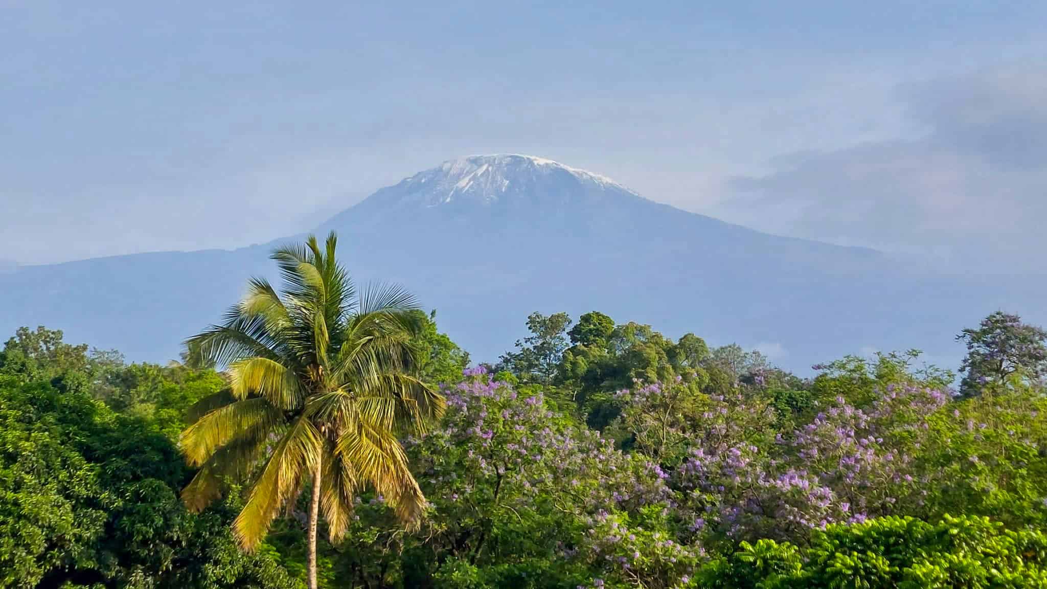 Moshi Kilimanjaro