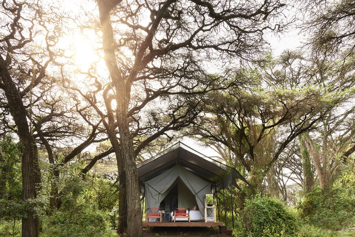 Sanctuary Ngorongoro Crater Camp