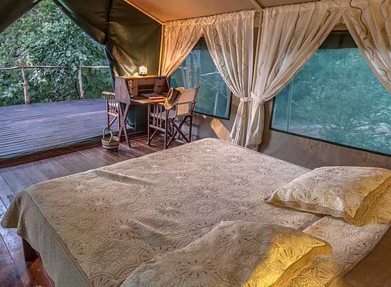 Selous Impala Camp