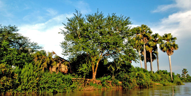 Selous Impala Camp