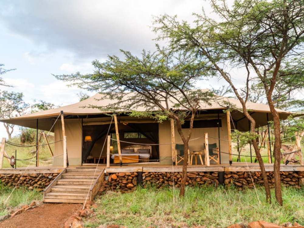 Serengeti Kifaru Tented Lodge 1