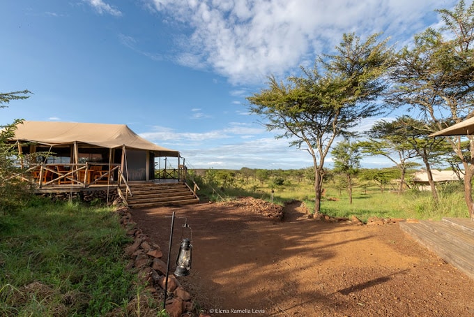 Serengeti Kifaru Tented Lodge