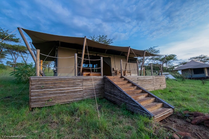 Serengeti Kifaru Tented Lodge