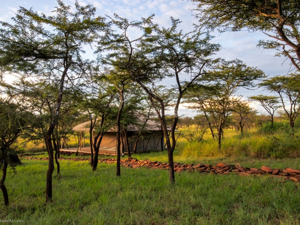 Serengeti Kifaru Tented Lodge 2