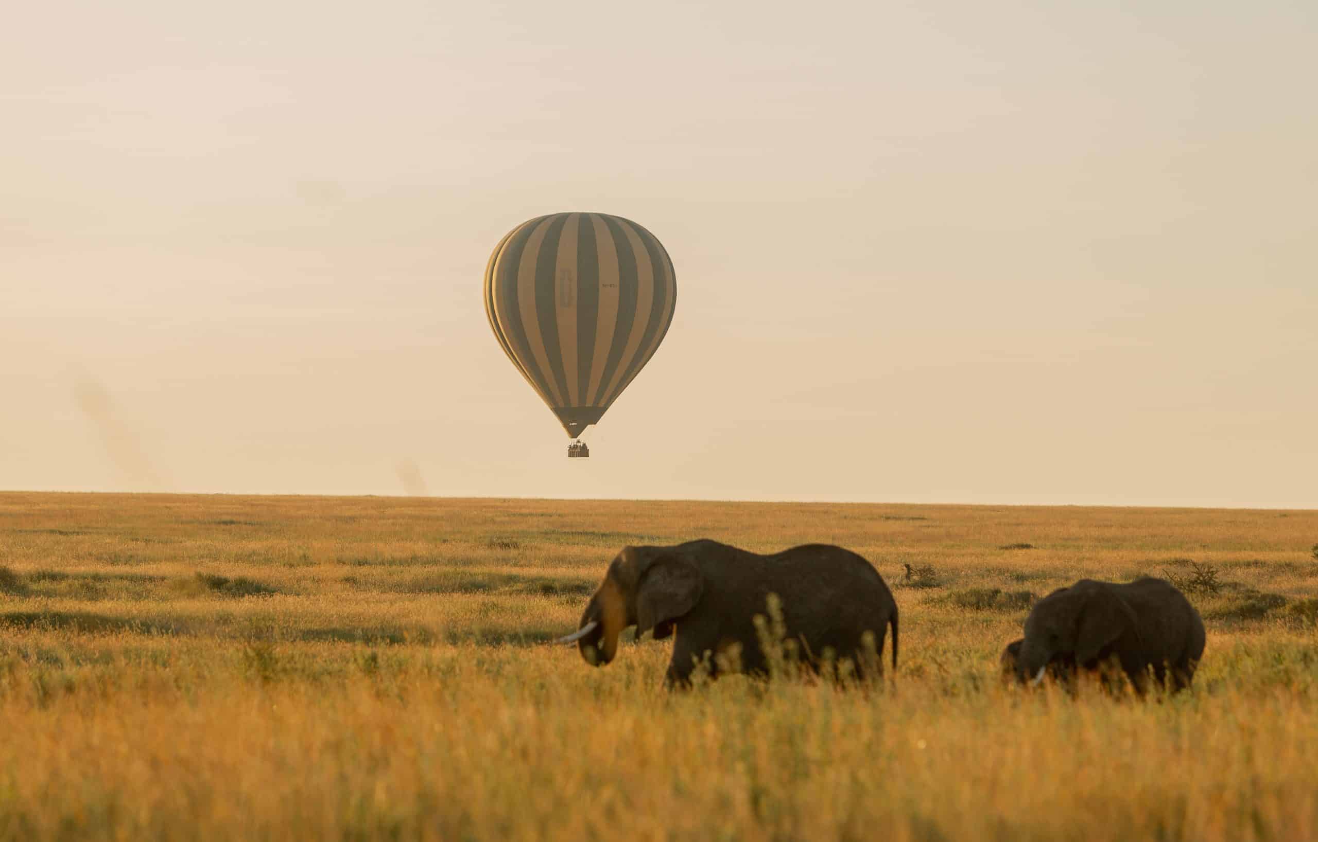 ballon Tarangire (1)