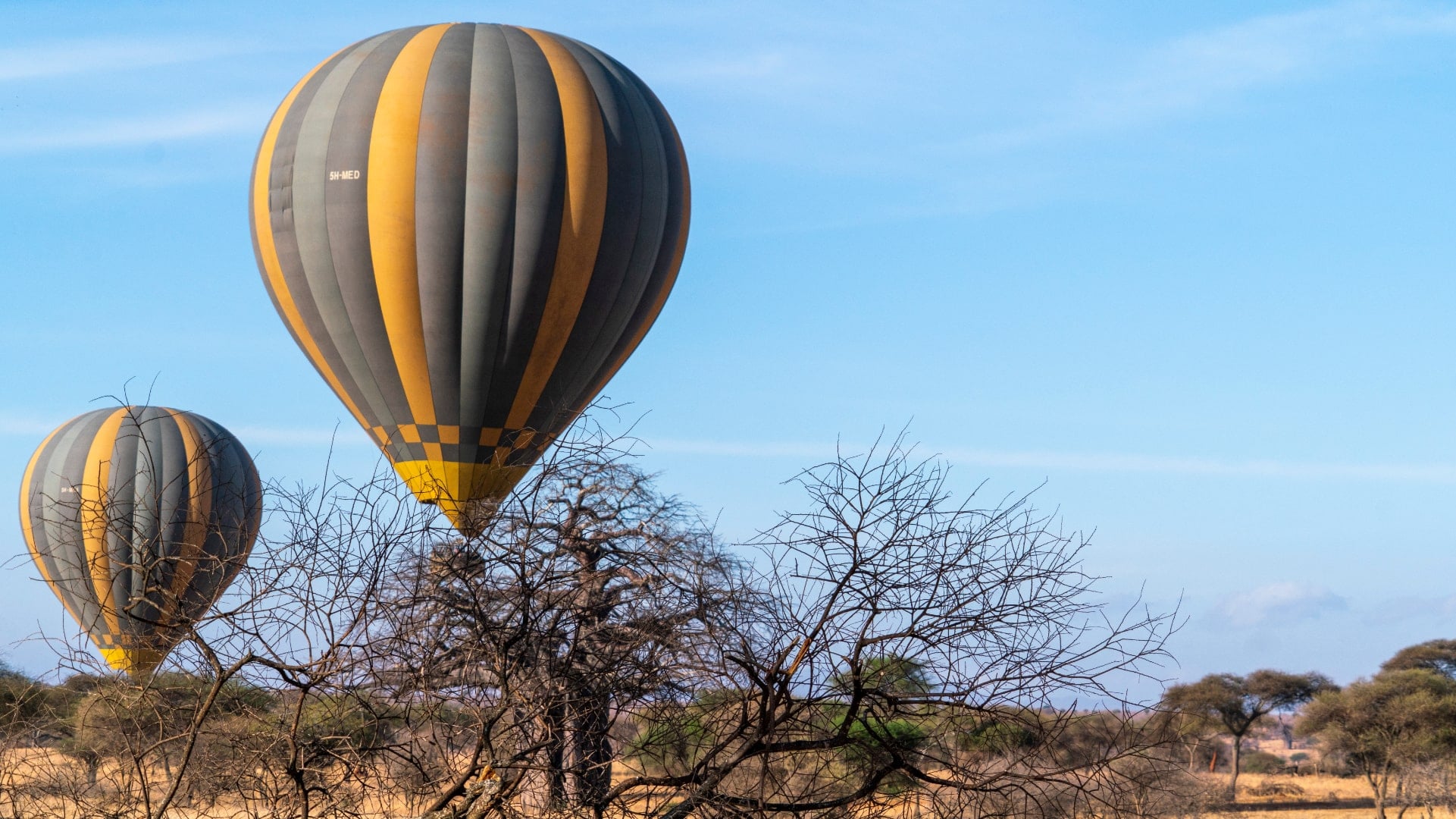 ballon Tarangire2