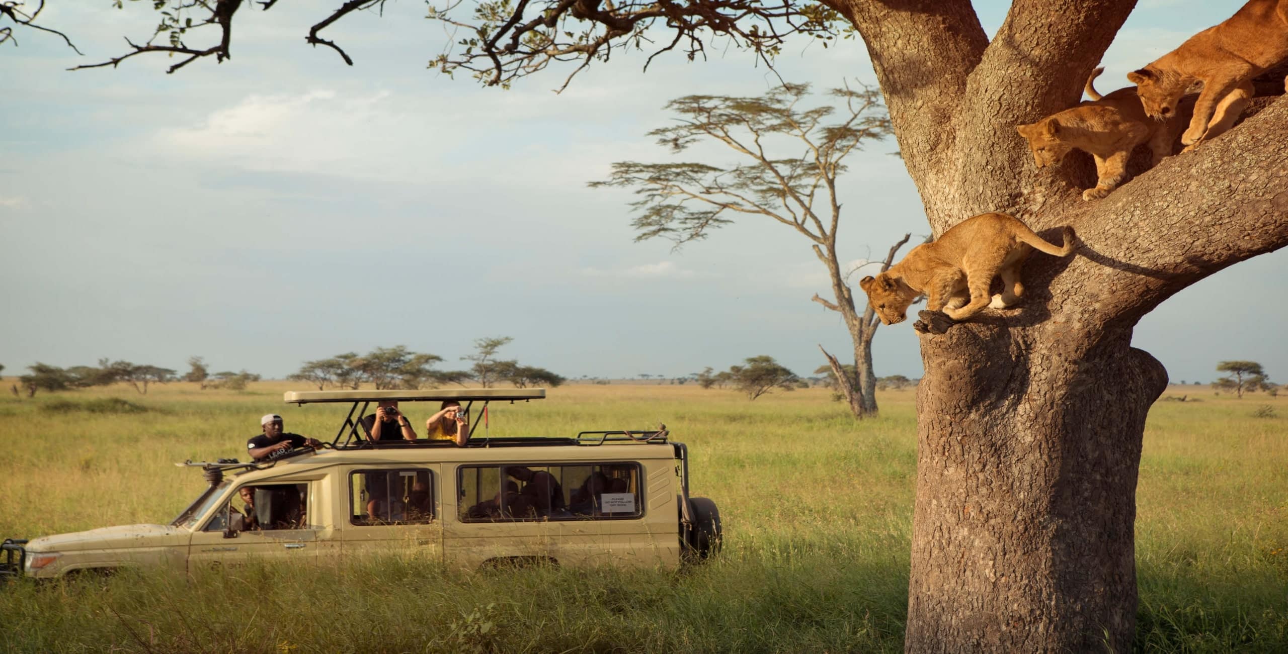 game drive