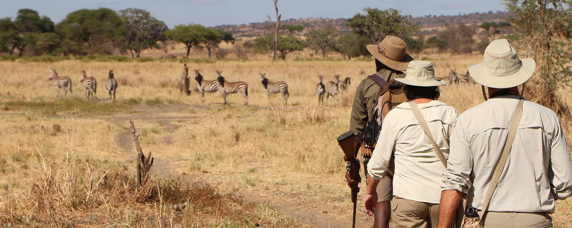 walking safari