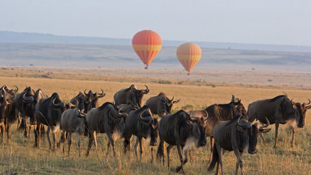 4 Days Tanzania Safari from Zanzibar