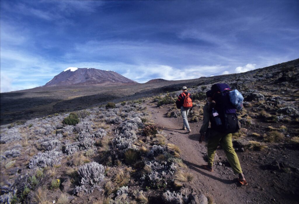 Climbers on the way to Mount Kilimanjaro, Tanzania, Africa