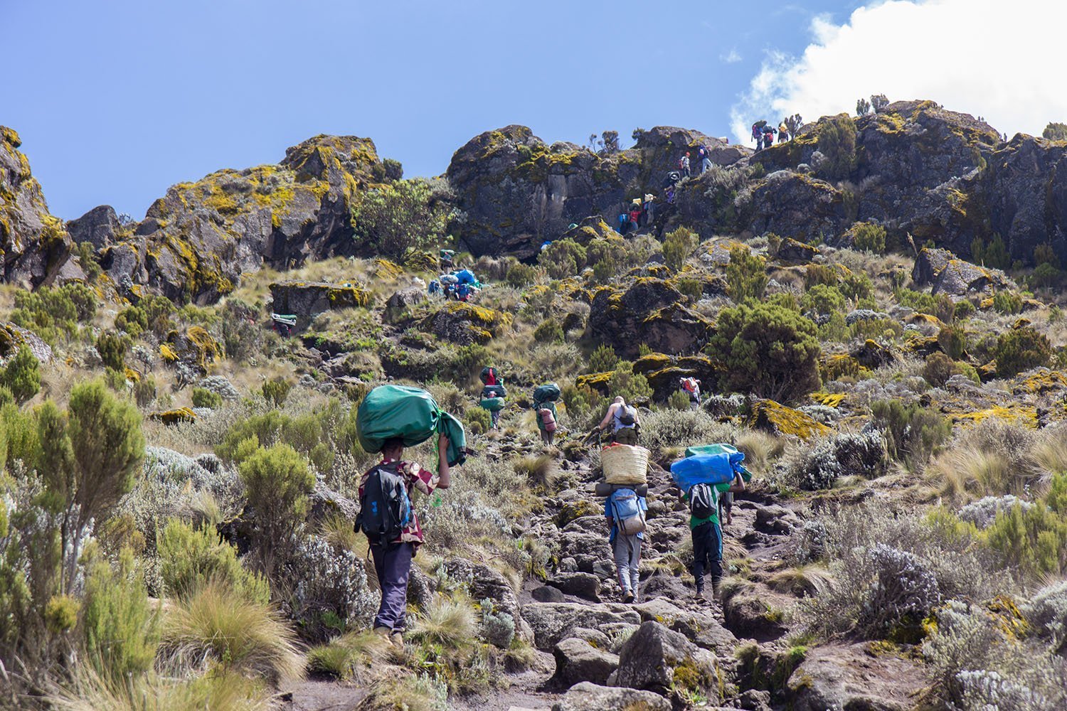 Marangu Route