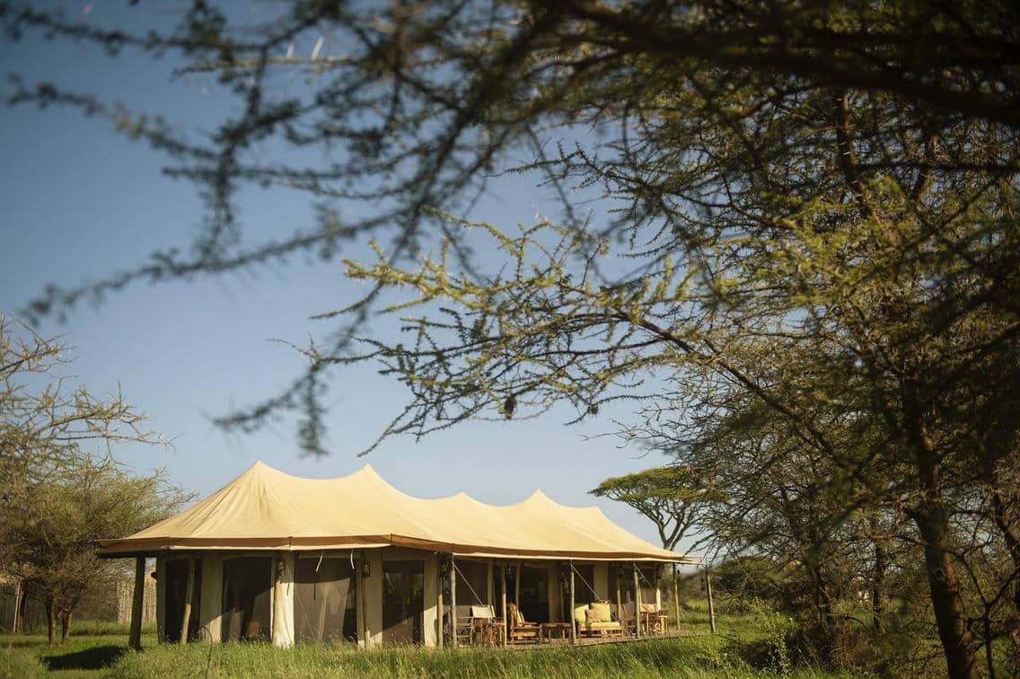 Olmara Camp