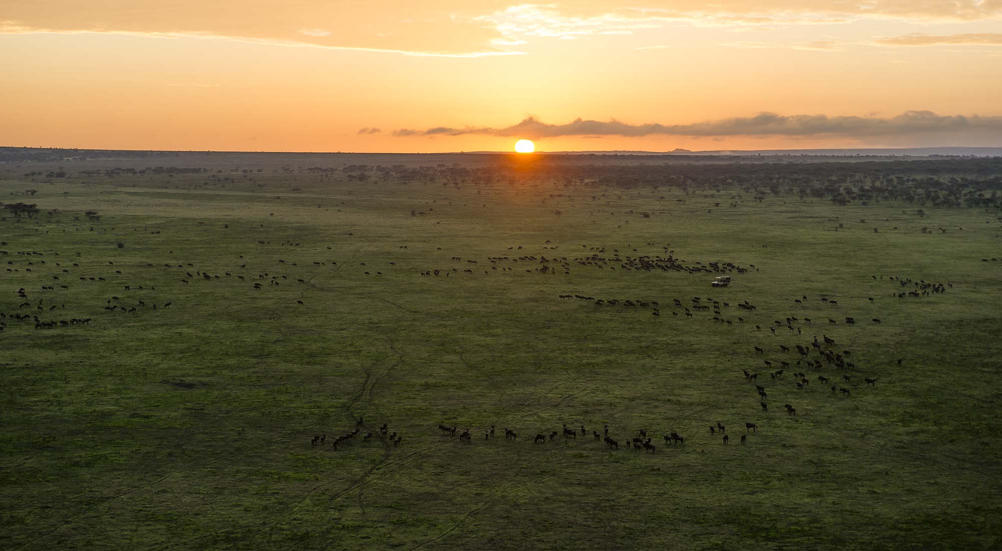 Serengeti National Park