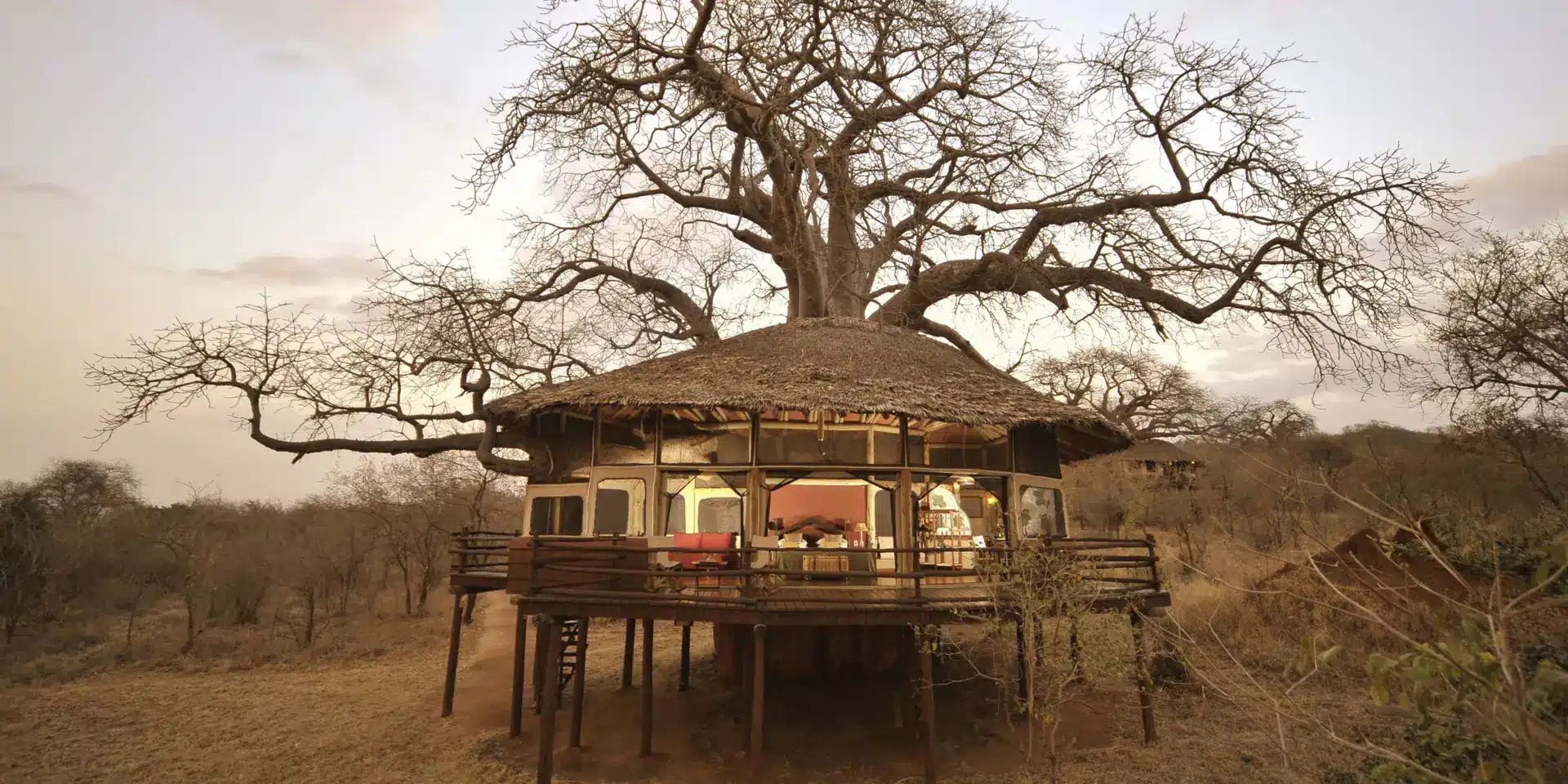 Tarangire Treetop Lodge