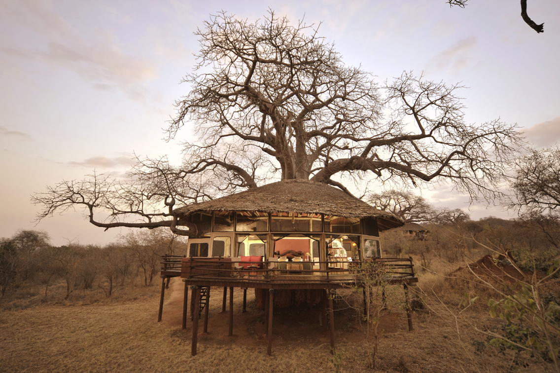 Tarangire treetop lodge