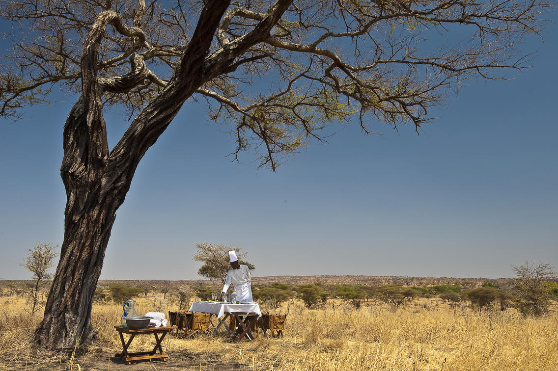 Tarangire treetop lodge