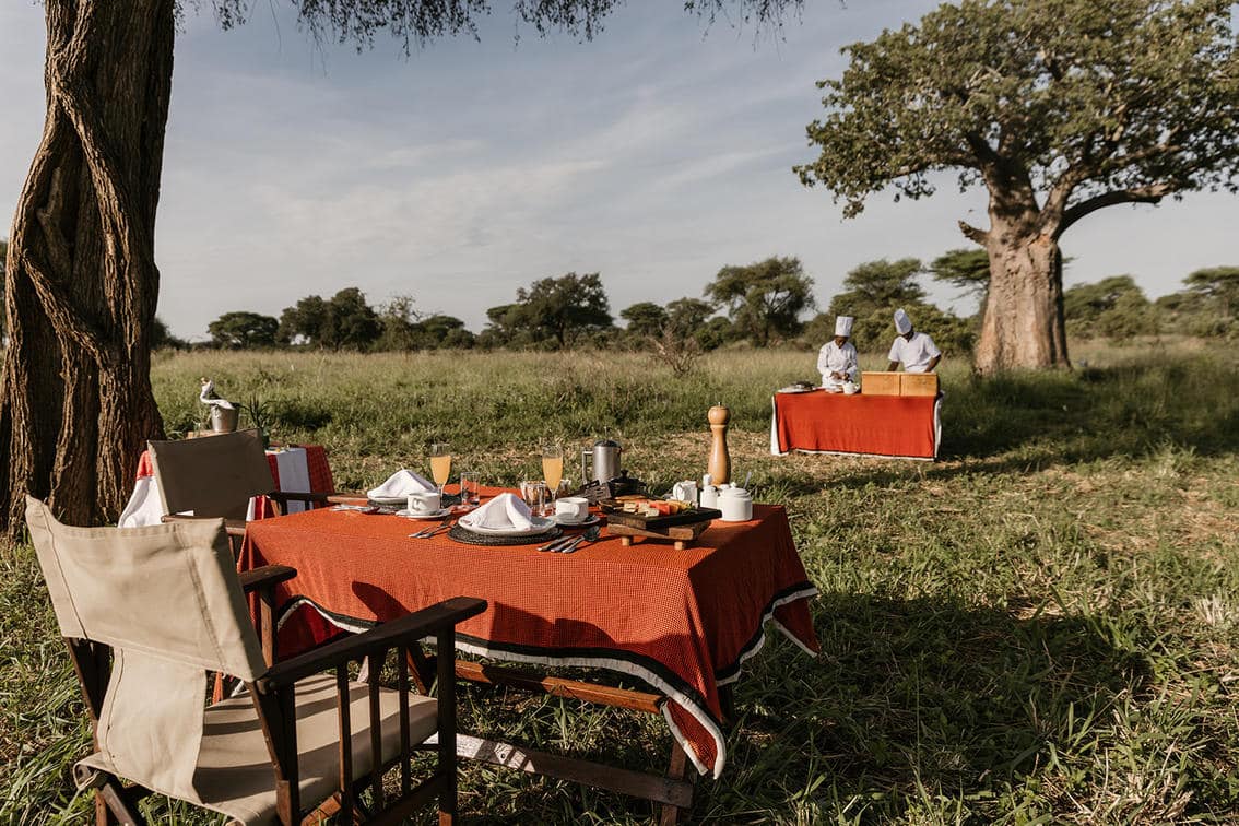 Tarangire treetop lodge